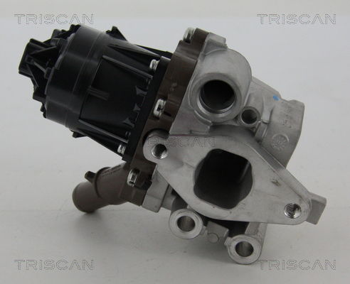AGR-Ventil Triscan 8813 15207 von Triscan