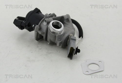 AGR-Ventil Triscan 8813 16008 von Triscan