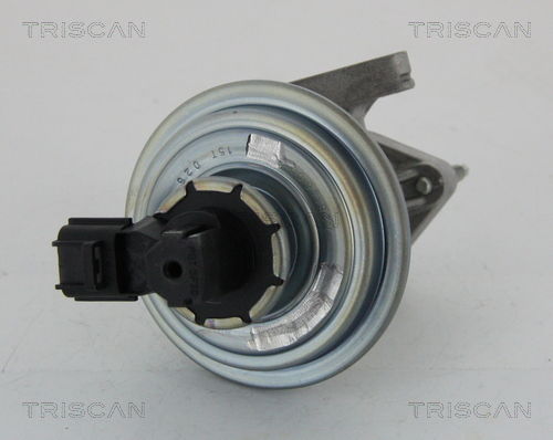 AGR-Ventil Triscan 8813 16045 AGR-Ventil Triscan 8813 16045 von Triscan