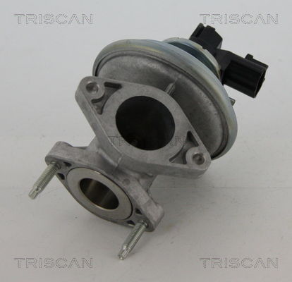 AGR-Ventil Triscan 8813 16045 von Triscan