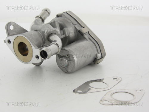 AGR-Ventil Triscan 8813 16100 von Triscan