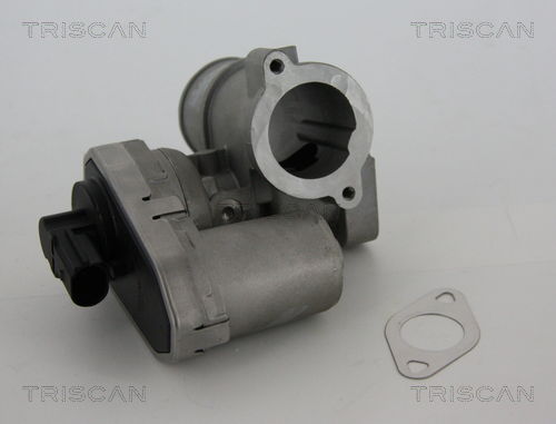 AGR-Ventil Triscan 8813 16101 AGR-Ventil Triscan 8813 16101 von Triscan