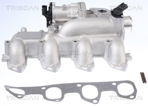 AGR-Ventil Triscan 8813 16155 AGR-Ventil Triscan 8813 16155 von Triscan