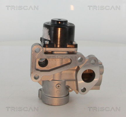 AGR-Ventil Triscan 8813 16203 AGR-Ventil Triscan 8813 16203 von Triscan