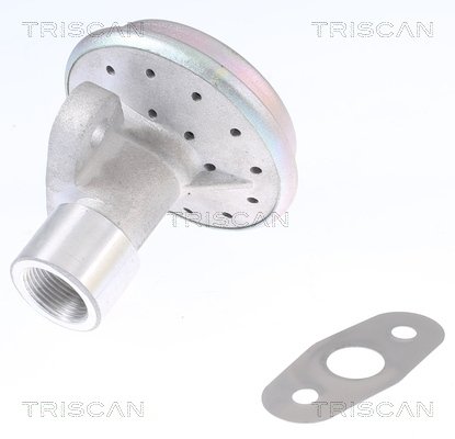 AGR-Ventil Triscan 8813 16204 von Triscan