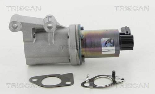 AGR-Ventil Triscan 8813 18038 von Triscan