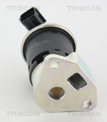 AGR-Ventil Triscan 8813 21004 AGR-Ventil Triscan 8813 21004 von Triscan