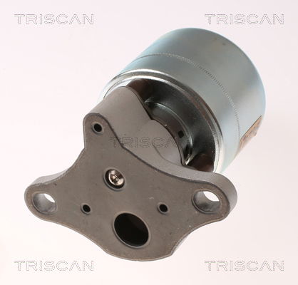 AGR-Ventil Triscan 8813 21026 von Triscan