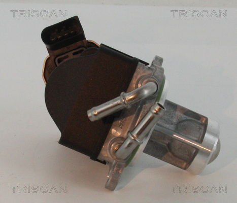 AGR-Ventil Triscan 8813 23002 von Triscan