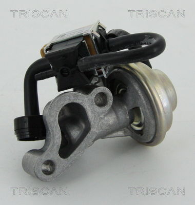 AGR-Ventil Triscan 8813 23005 AGR-Ventil Triscan 8813 23005 von Triscan