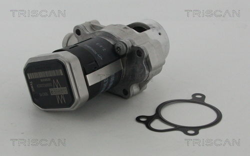 AGR-Ventil Triscan 8813 23010 AGR-Ventil Triscan 8813 23010 von Triscan