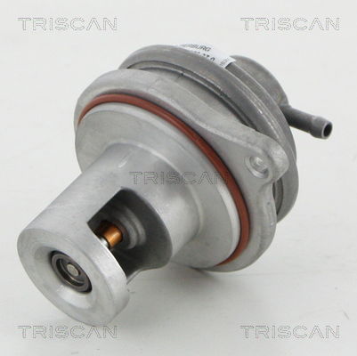 AGR-Ventil Triscan 8813 23017 AGR-Ventil Triscan 8813 23017 von Triscan