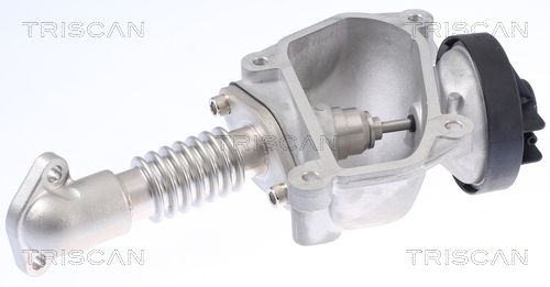 AGR-Ventil Triscan 8813 23024 von Triscan