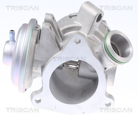 AGR-Ventil Triscan 8813 23032 von Triscan