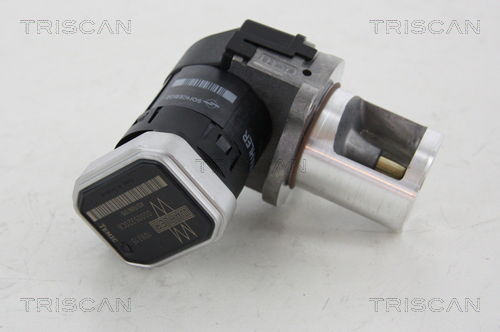 AGR-Ventil Triscan 8813 23101 AGR-Ventil Triscan 8813 23101 von Triscan