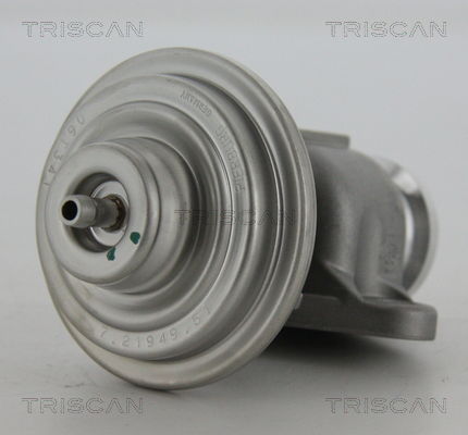 AGR-Ventil Triscan 8813 23201 AGR-Ventil Triscan 8813 23201 von Triscan