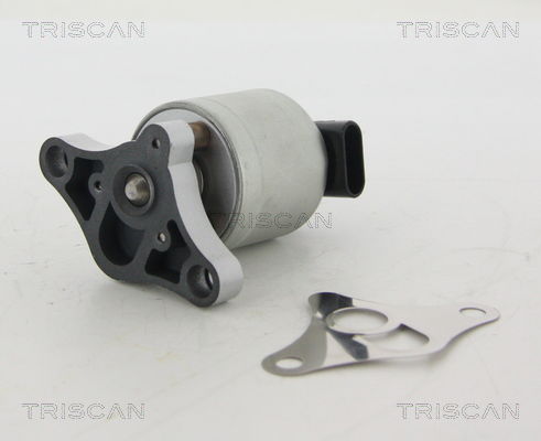 AGR-Ventil Triscan 8813 24002 von Triscan