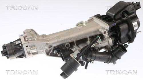 AGR-Ventil Triscan 8813 24007 AGR-Ventil Triscan 8813 24007 von Triscan