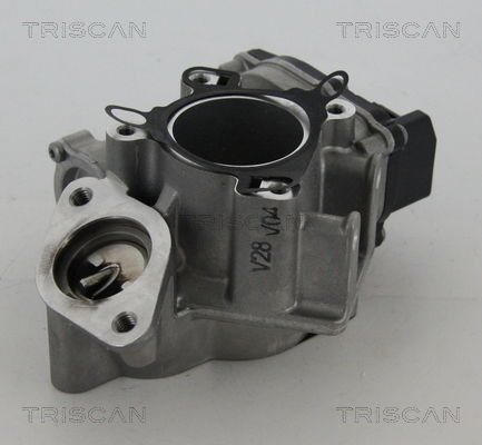 AGR-Ventil Triscan 8813 24039 von Triscan