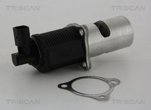 AGR-Ventil Triscan 8813 24055 von Triscan