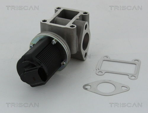 AGR-Ventil Triscan 8813 24082 von Triscan