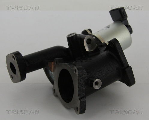 AGR-Ventil Triscan 8813 24101 von Triscan