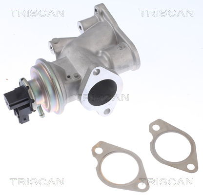 AGR-Ventil Triscan 8813 24203 AGR-Ventil Triscan 8813 24203 von Triscan