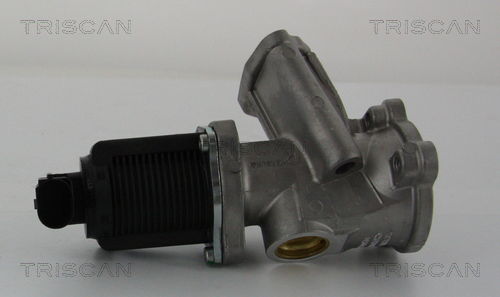 AGR-Ventil Triscan 8813 24204 AGR-Ventil Triscan 8813 24204 von Triscan