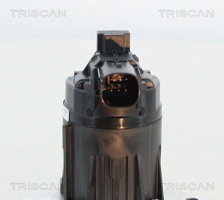 AGR-Ventil Triscan 8813 24209 von Triscan