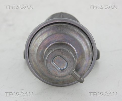 AGR-Ventil Triscan 8813 25006 von Triscan