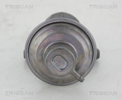 AGR-Ventil Triscan 8813 25006 von Triscan