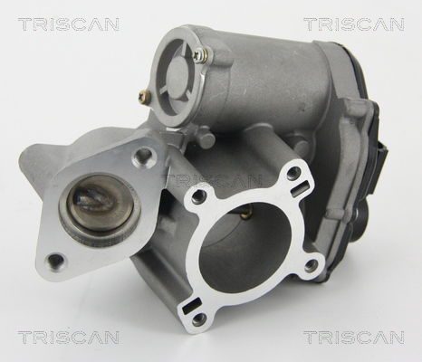 AGR-Ventil Triscan 8813 25010 AGR-Ventil Triscan 8813 25010 von Triscan