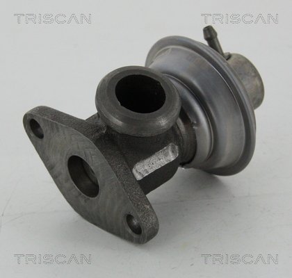 AGR-Ventil Triscan 8813 25011 von Triscan