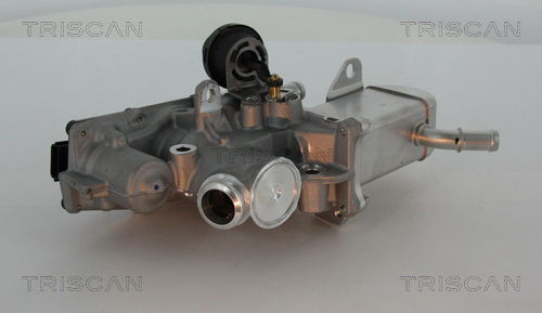 AGR-Ventil Triscan 8813 25013 von Triscan