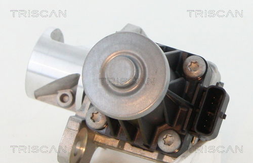 AGR-Ventil Triscan 8813 25040 von Triscan