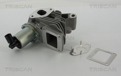 AGR-Ventil Triscan 8813 25100 von Triscan