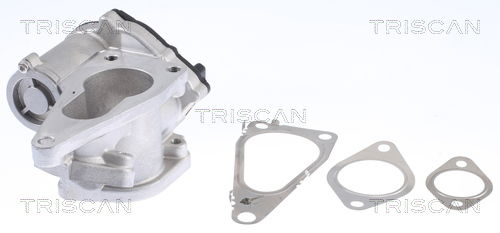AGR-Ventil Triscan 8813 25201 AGR-Ventil Triscan 8813 25201 von Triscan