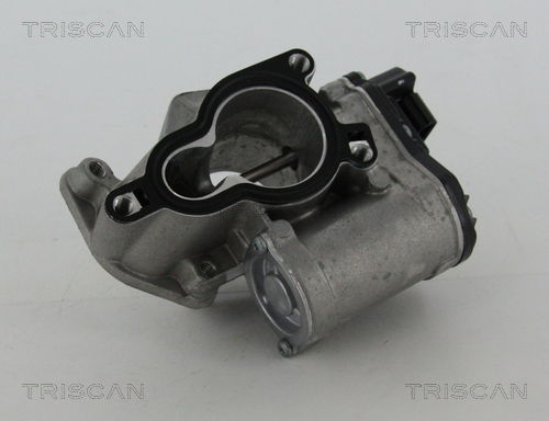 AGR-Ventil Triscan 8813 25203 AGR-Ventil Triscan 8813 25203 von Triscan