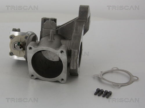 AGR-Ventil Triscan 8813 27001 von Triscan