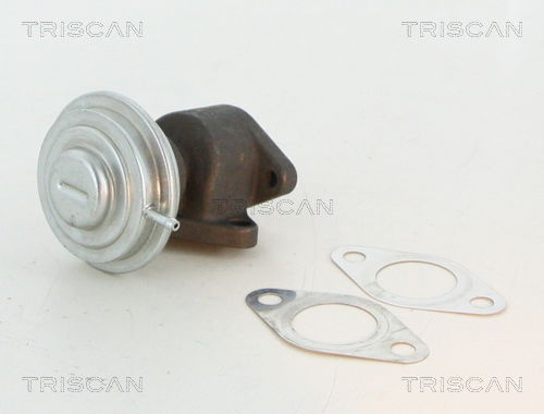 AGR-Ventil Triscan 8813 27100 von Triscan
