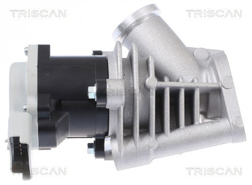 AGR-Ventil Triscan 8813 28028 von Triscan