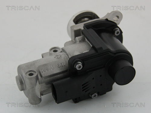 AGR-Ventil Triscan 8813 29002 von Triscan