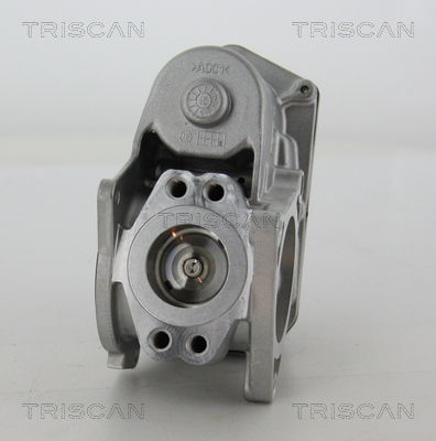 AGR-Ventil Triscan 8813 29003 von Triscan