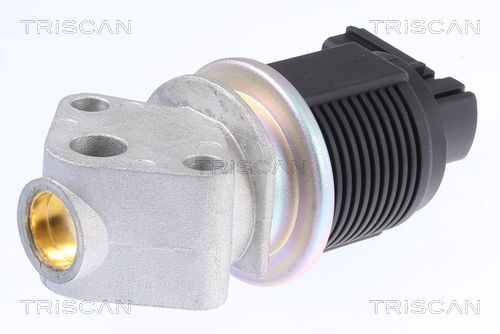 AGR-Ventil Triscan 8813 29009 von Triscan