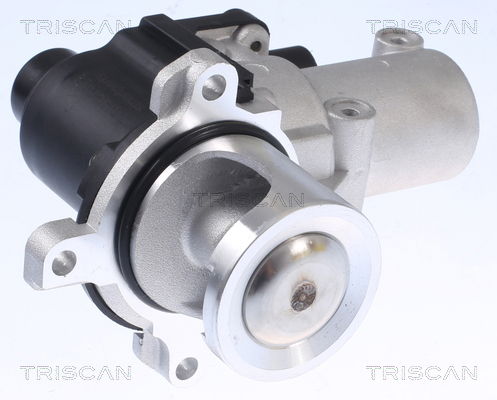 AGR-Ventil Triscan 8813 29015 von Triscan