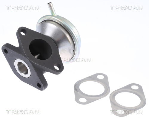AGR-Ventil Triscan 8813 29016 AGR-Ventil Triscan 8813 29016 von Triscan