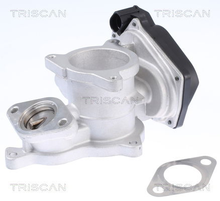 AGR-Ventil Triscan 8813 29019 von Triscan