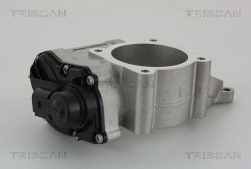 AGR-Ventil Triscan 8813 29028 AGR-Ventil Triscan 8813 29028 von Triscan