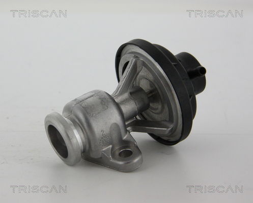 AGR-Ventil Triscan 8813 29034 AGR-Ventil Triscan 8813 29034 von Triscan