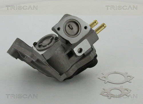 AGR-Ventil Triscan 8813 29047 AGR-Ventil Triscan 8813 29047 von Triscan